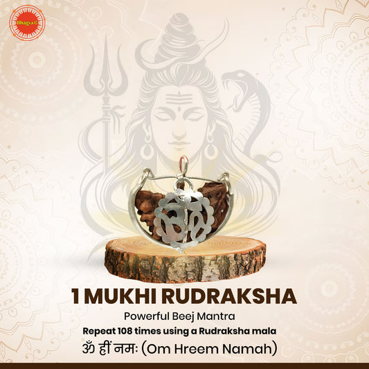 Nepali 1 Mukhi Rudraksha (Lab Certified)