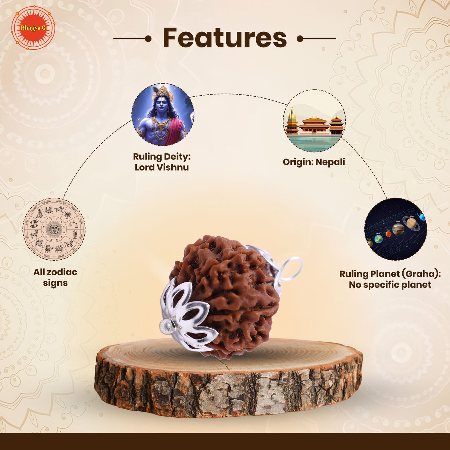 Nepali 10 Mukhi Rudraksha (Lab Certified)