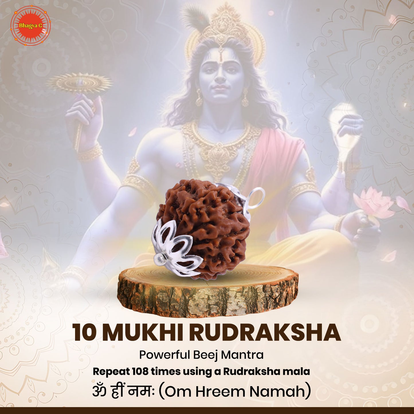 Nepali 10 Mukhi Rudraksha (Lab Certified)