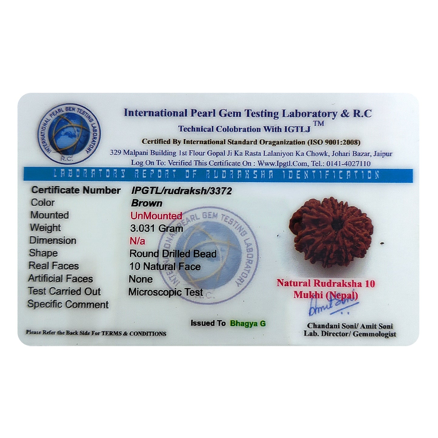 Nepali 10 Mukhi Rudraksha (Lab Certified)