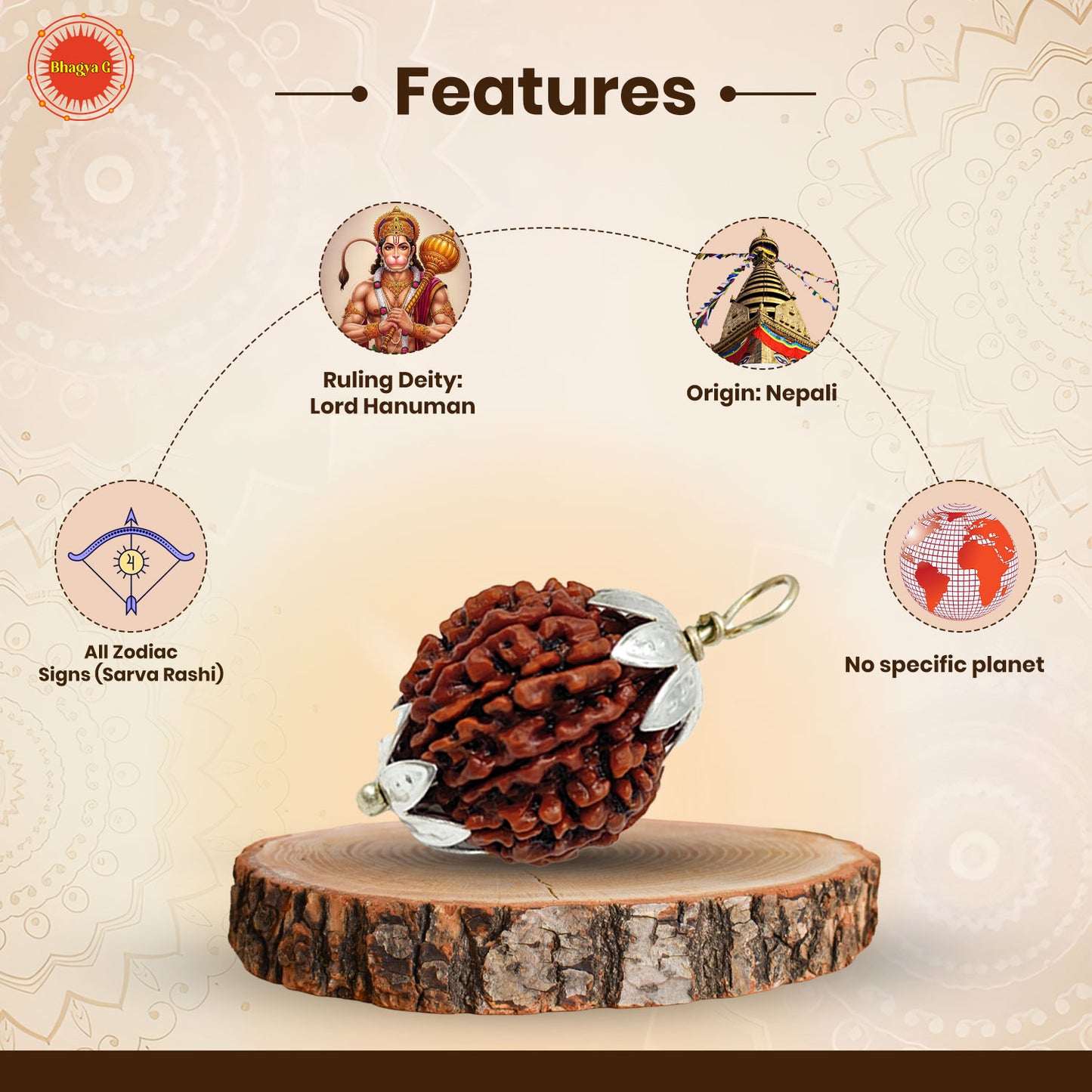 Nepali 11 Mukhi Rudraksha (Lab Certified)