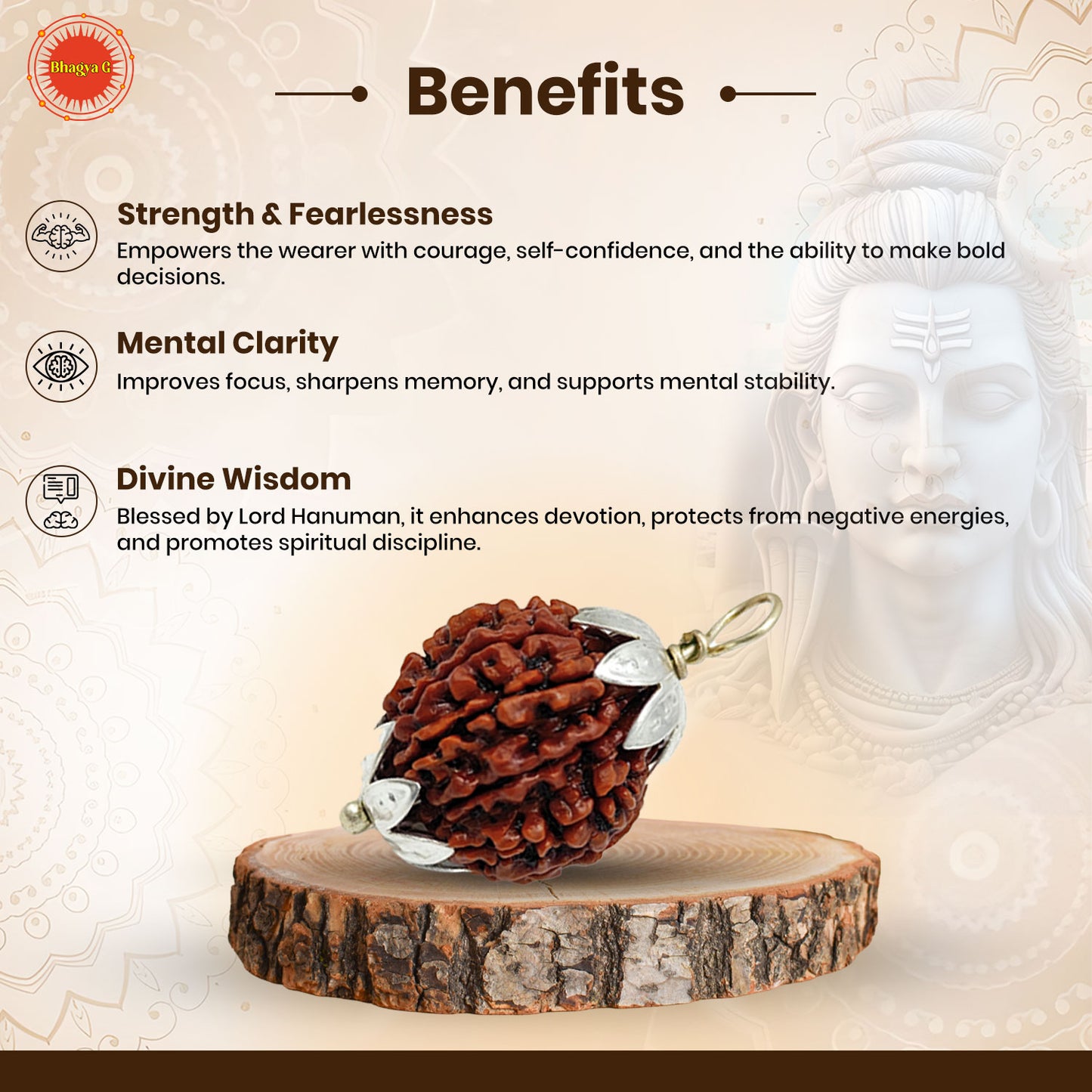 Nepali 11 Mukhi Rudraksha (Lab Certified)