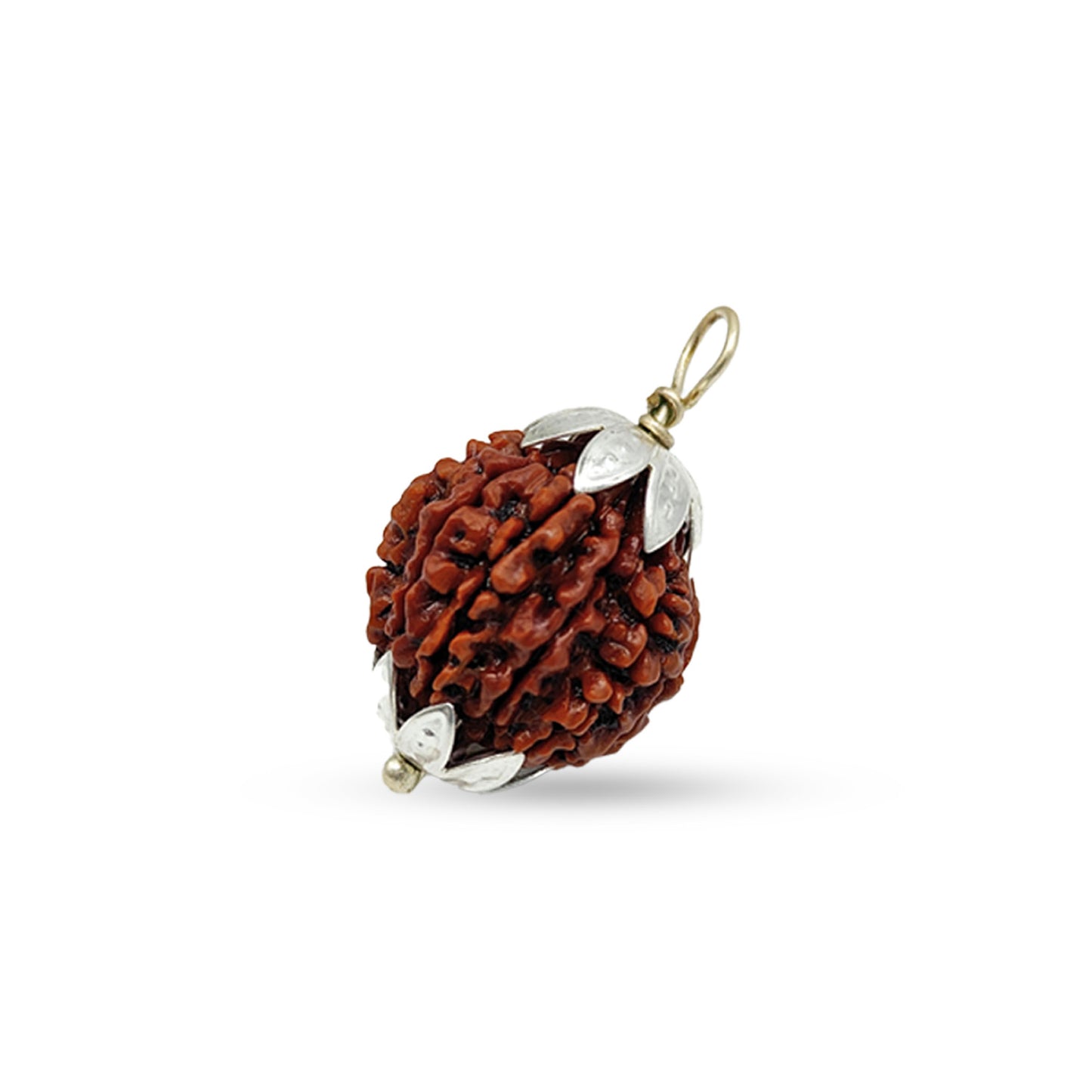 11 MUKHI RUDRAKSHA
