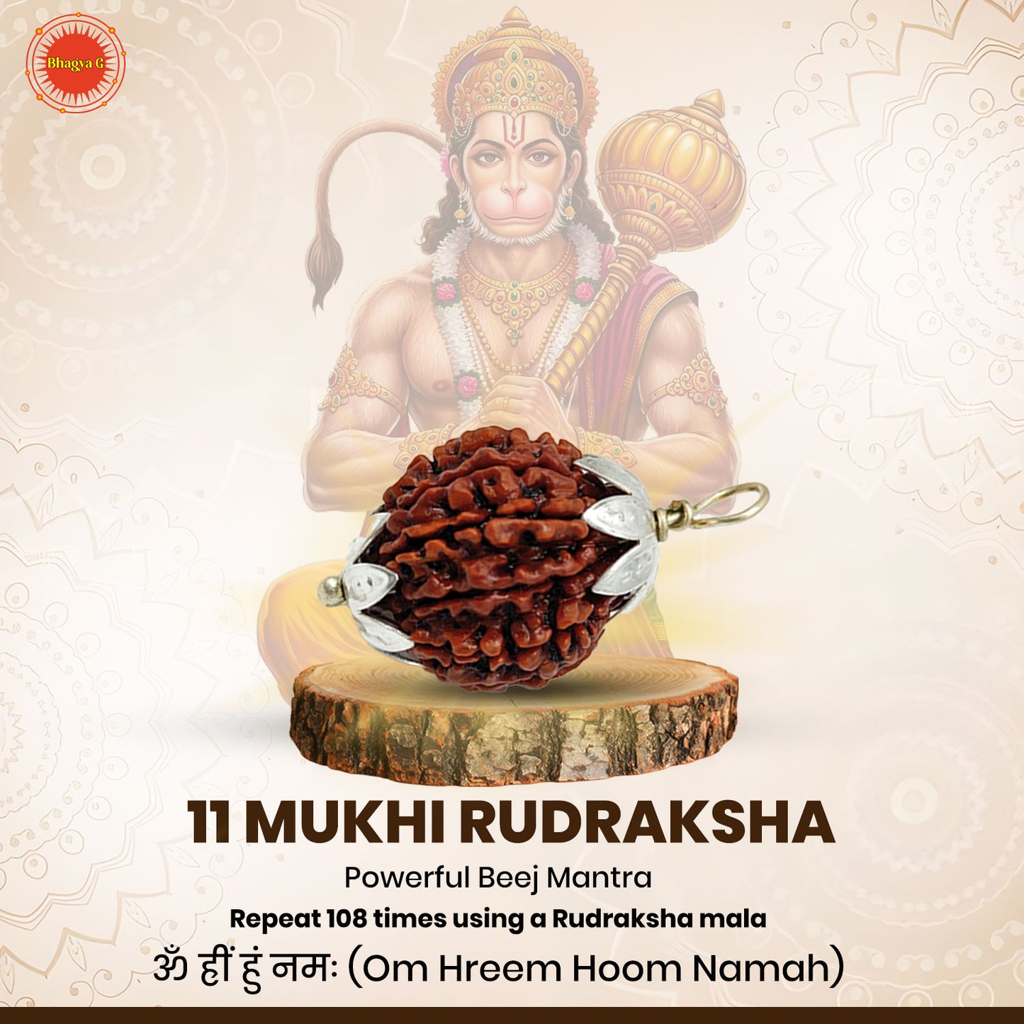 Nepali 11 Mukhi Rudraksha (Lab Certified)
