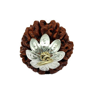 11 MUKHI RUDRAKSHA