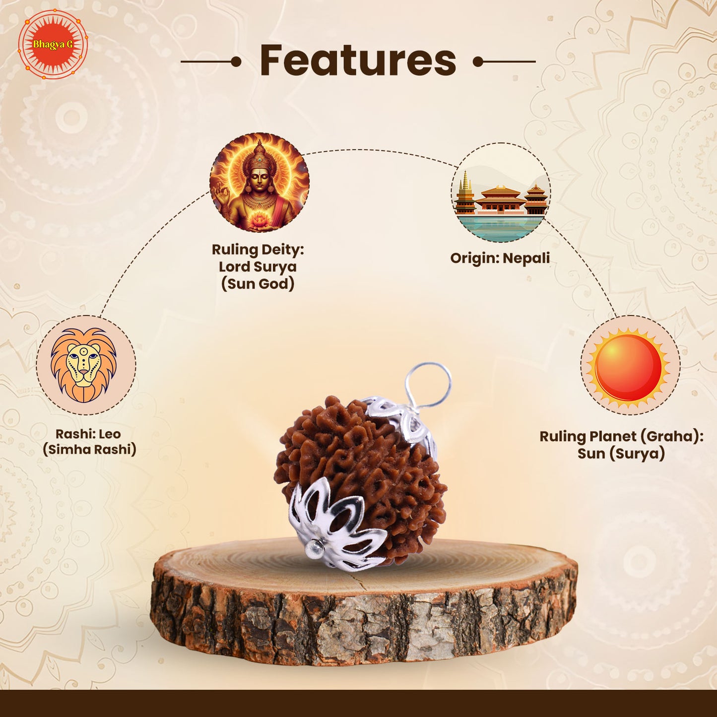Nepali 12 Mukhi Rudraksha (Lab Certified)