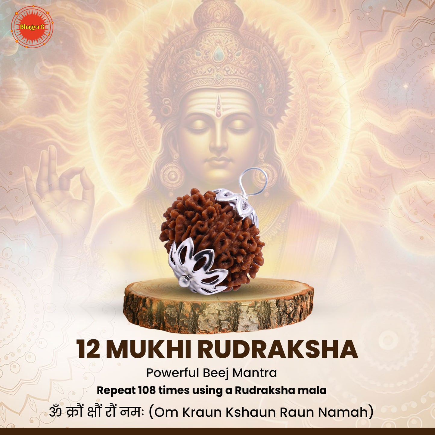 Nepali 12 Mukhi Rudraksha (Lab Certified)