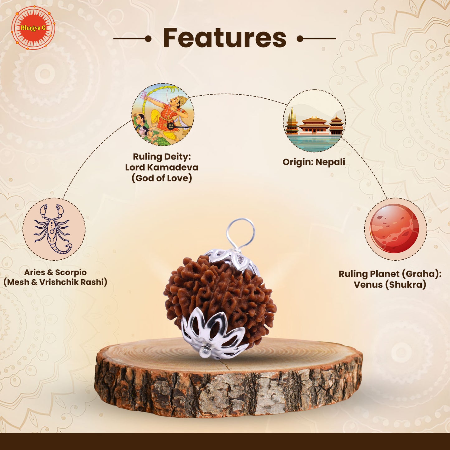 Nepali 13 Mukhi Rudraksha (Lab Certified)