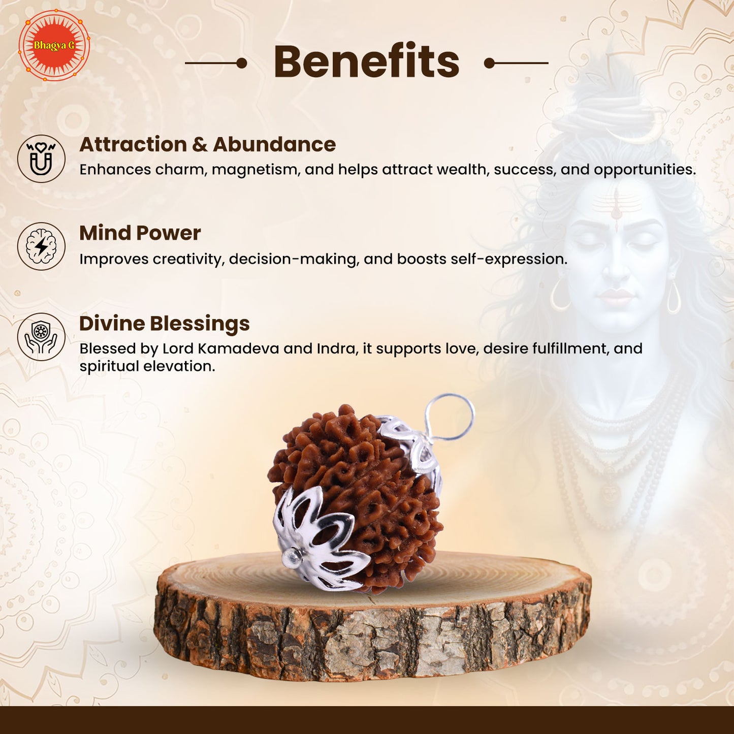 Nepali 13 Mukhi Rudraksha (Lab Certified)