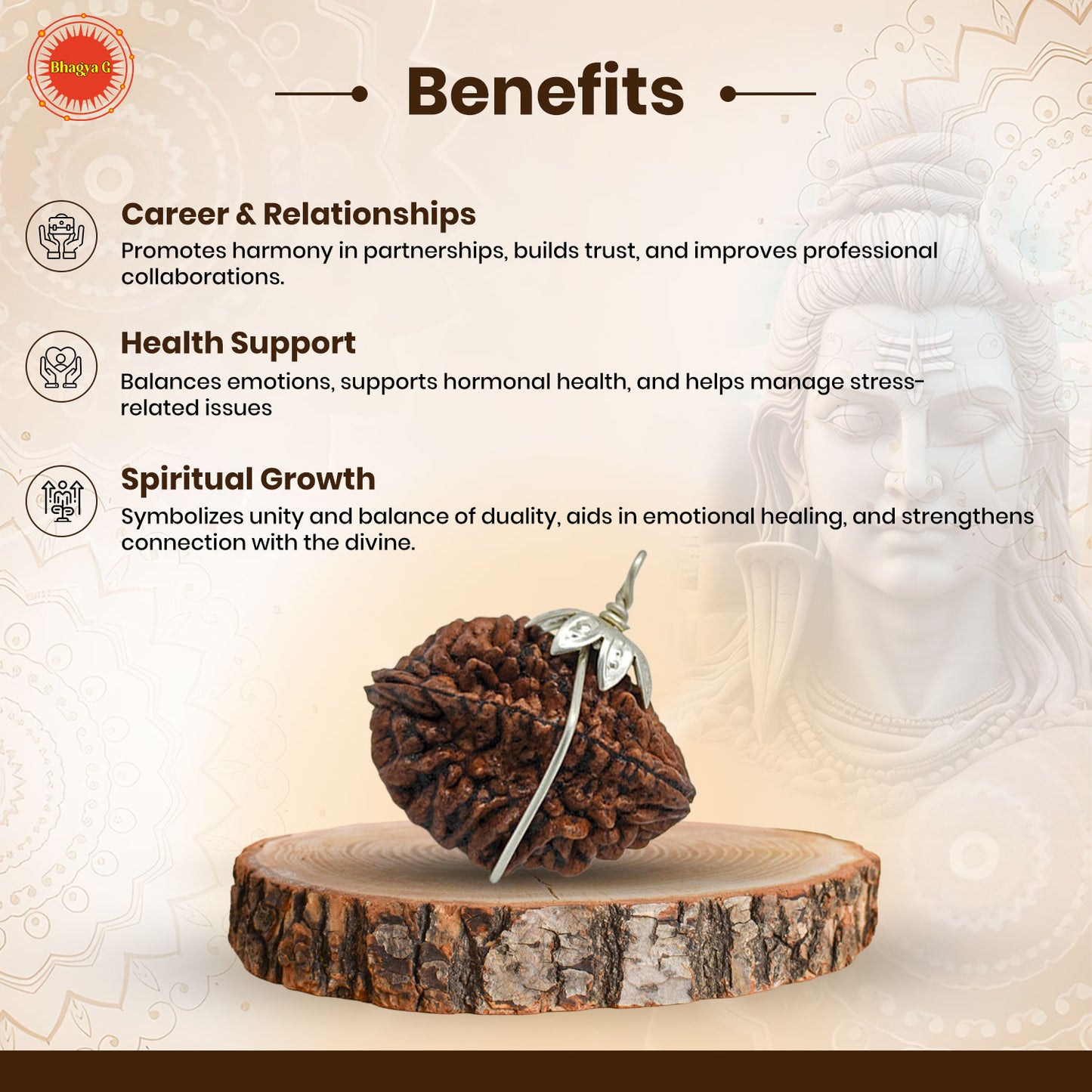 Nepali 2 Mukhi Rudraksha (Lab Certified)