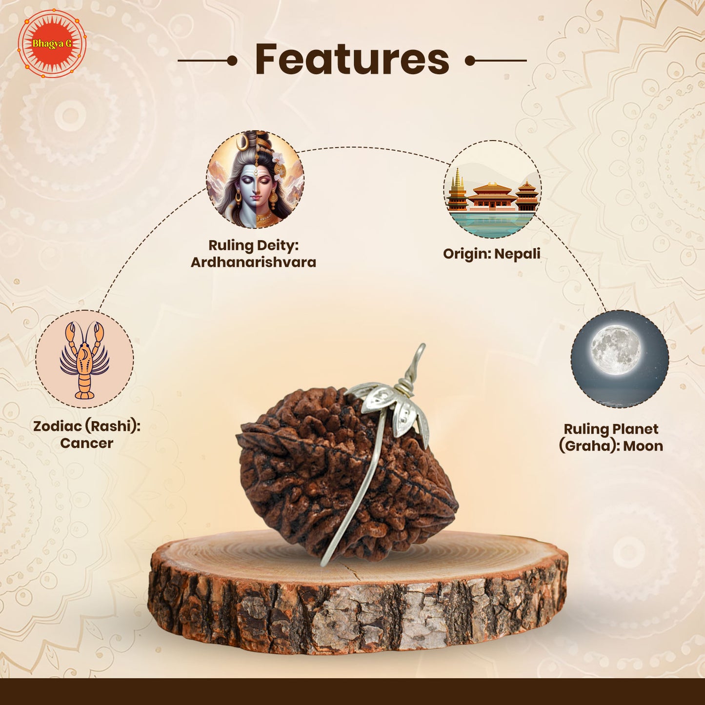 Nepali 2 Mukhi Rudraksha (Lab Certified)