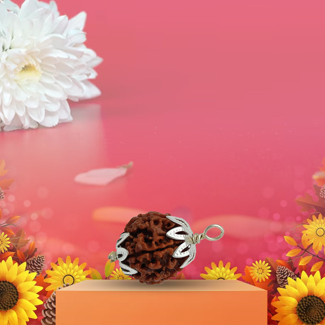 5 Mukhi Rudraksha