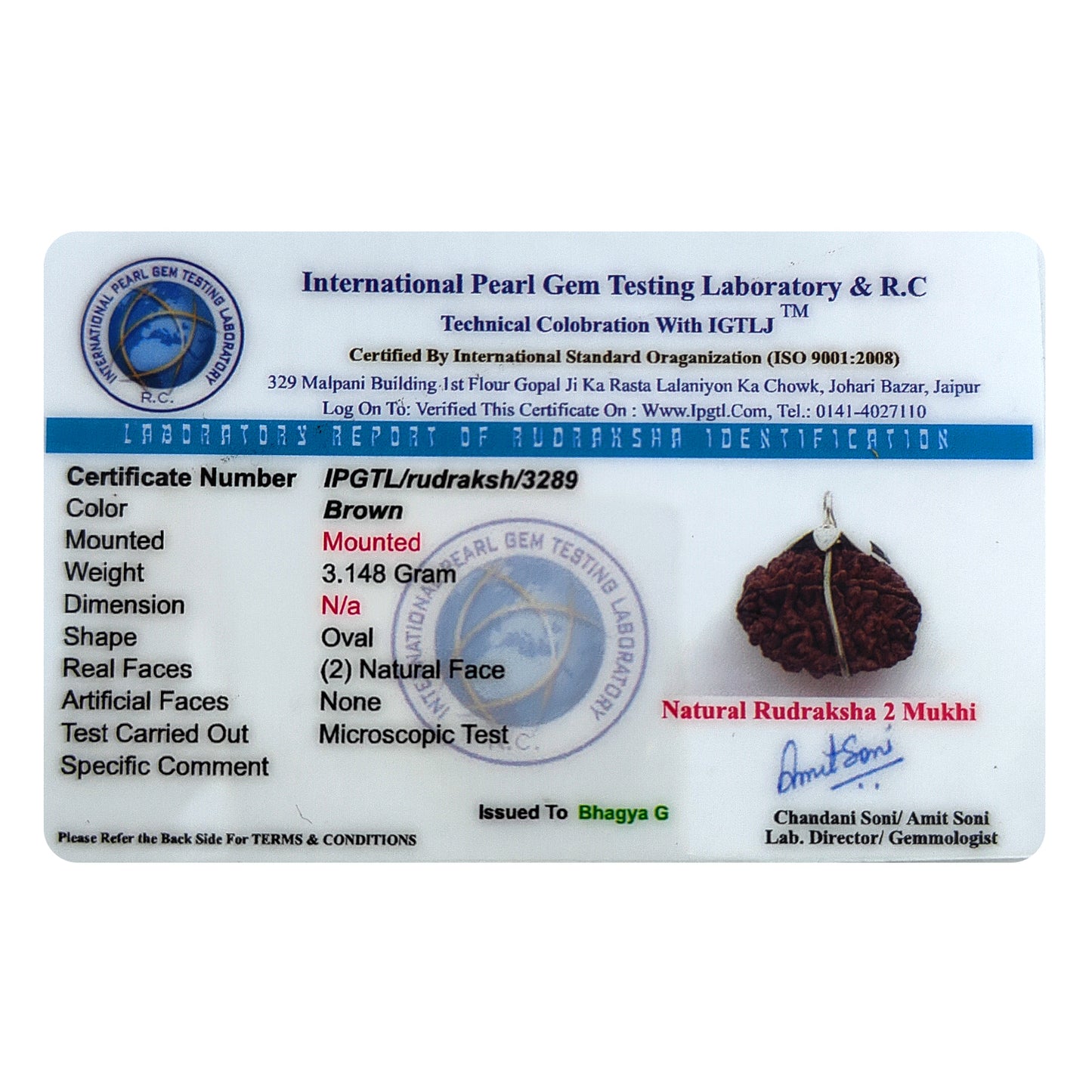 Nepali 2 Mukhi Rudraksha (Lab Certified)
