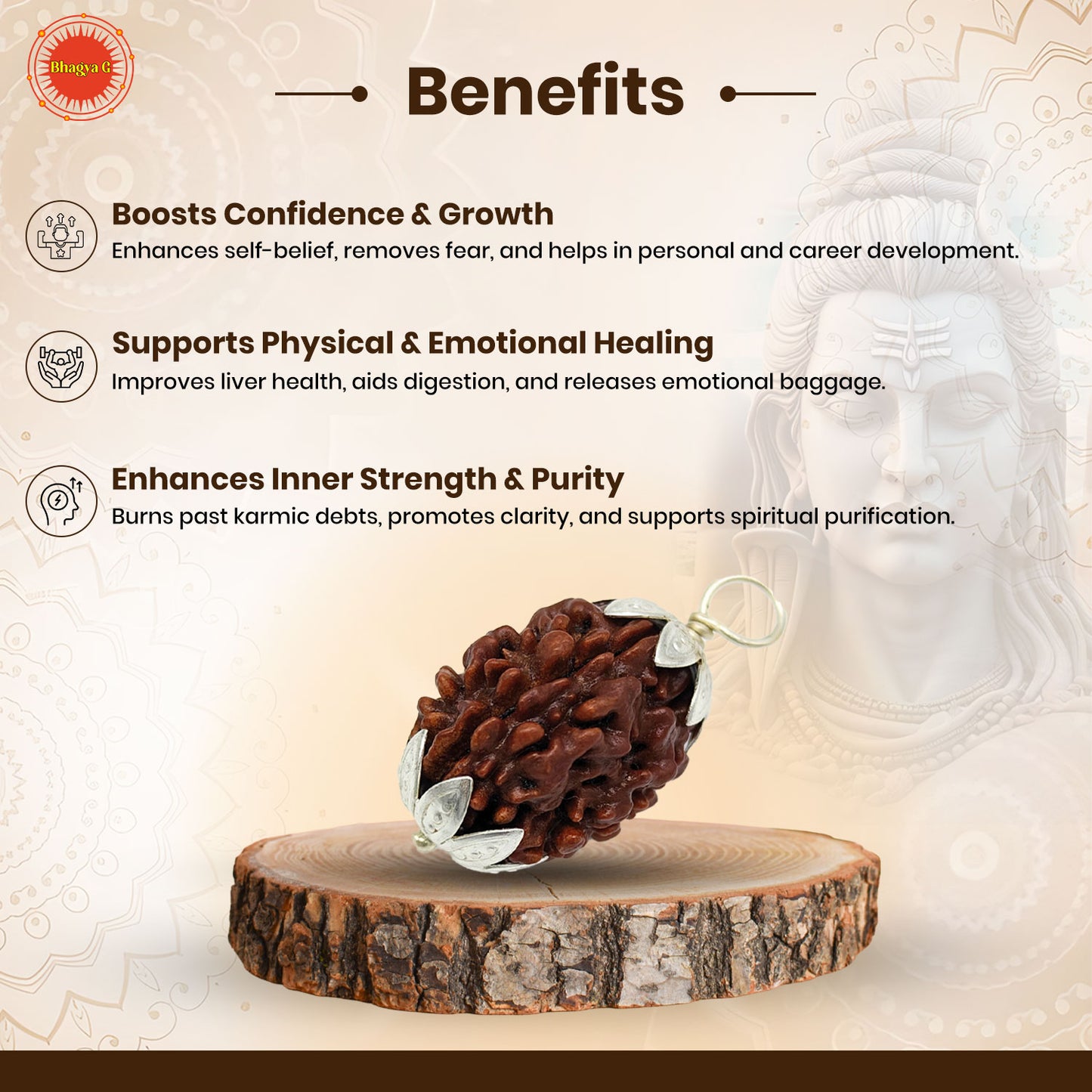 Nepali 3 Mukhi Rudraksha (Lab Certified)