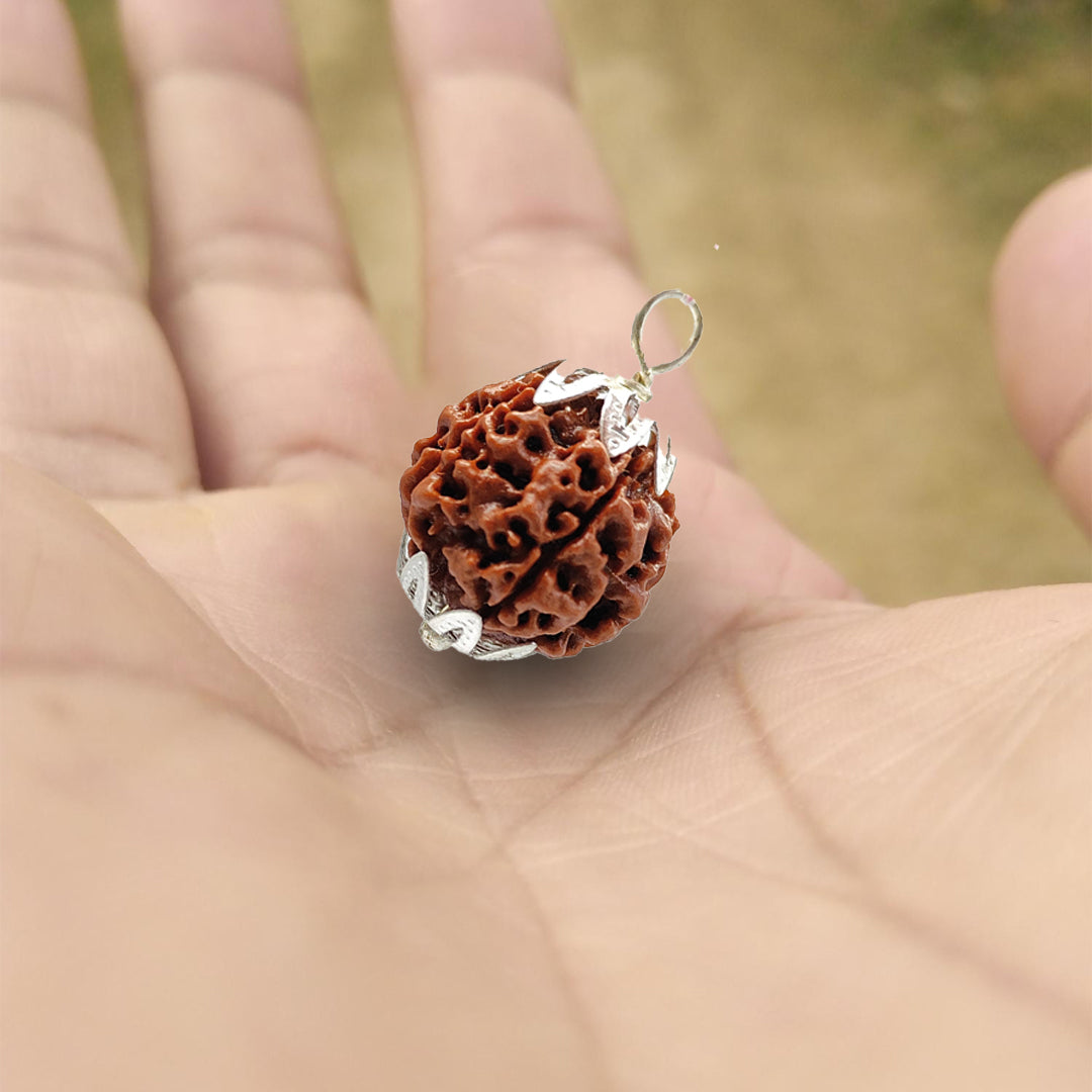 5 Mukhi Rudraksha