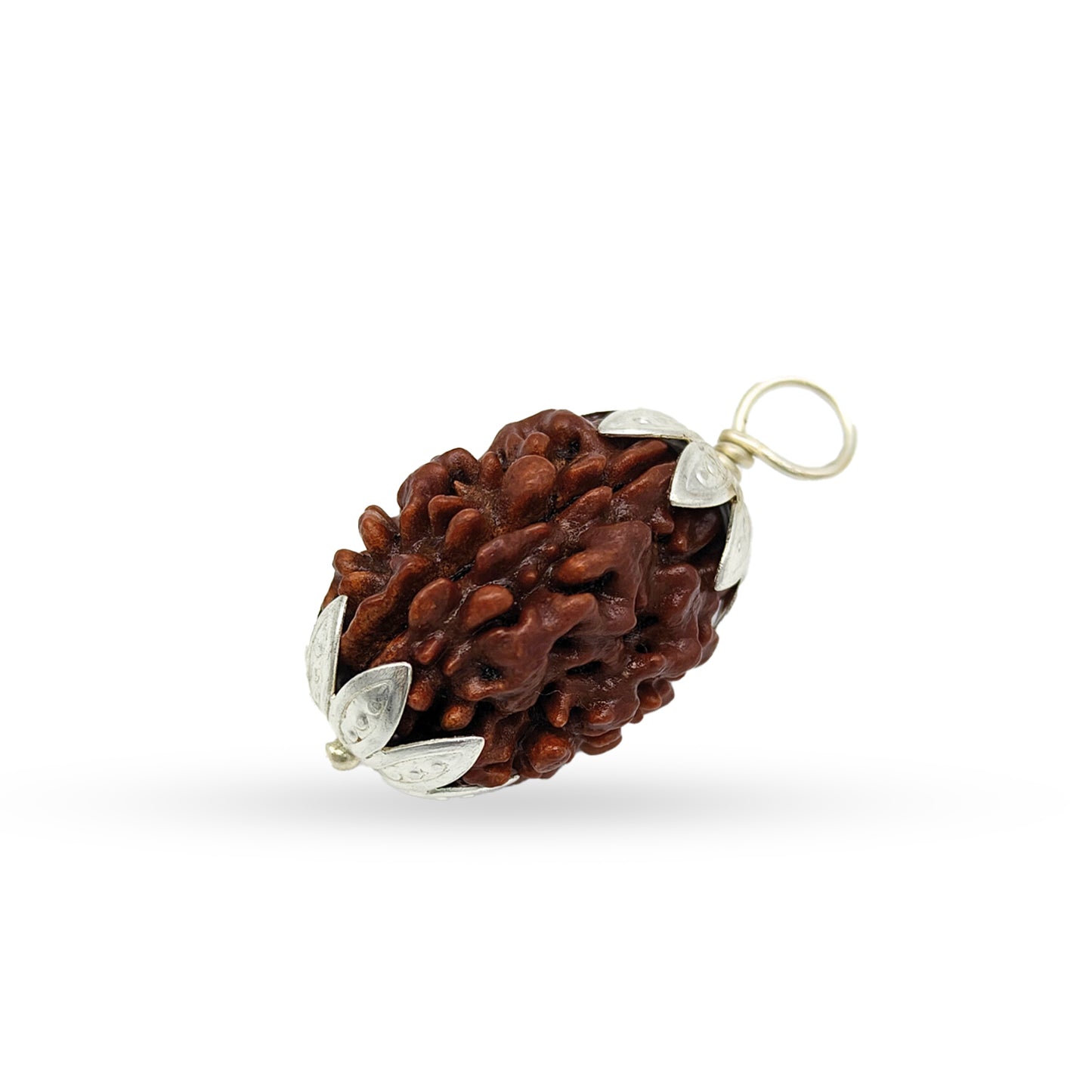 3 Mukhi Rudraksha