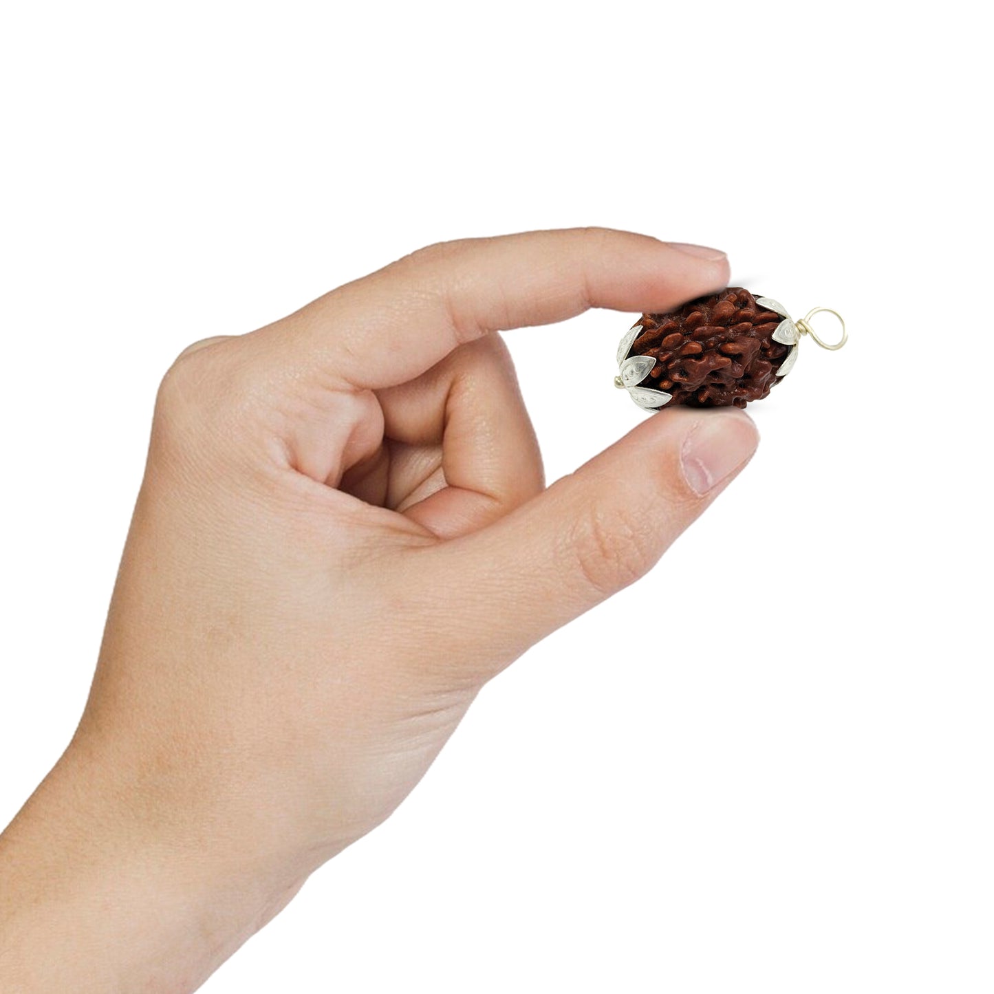 3 Mukhi Rudraksha