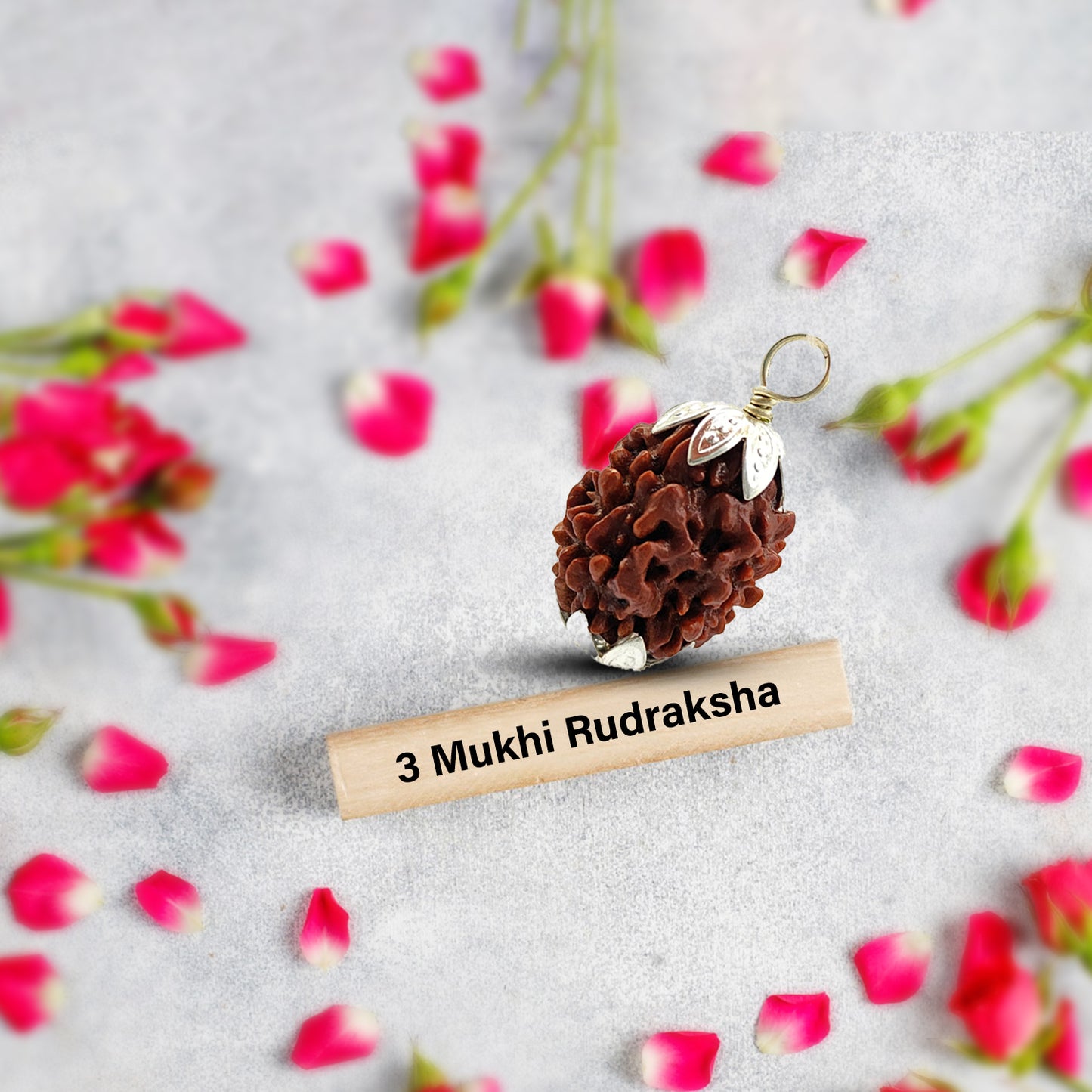 3 Mukhi Rudraksha