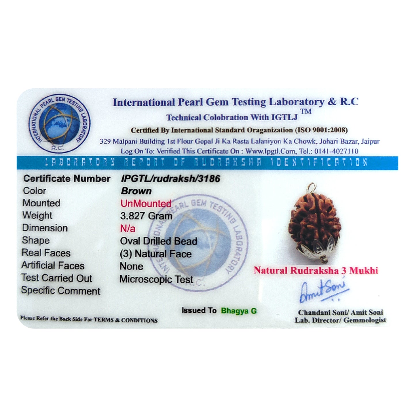 Nepali 3 Mukhi Rudraksha (Lab Certified)