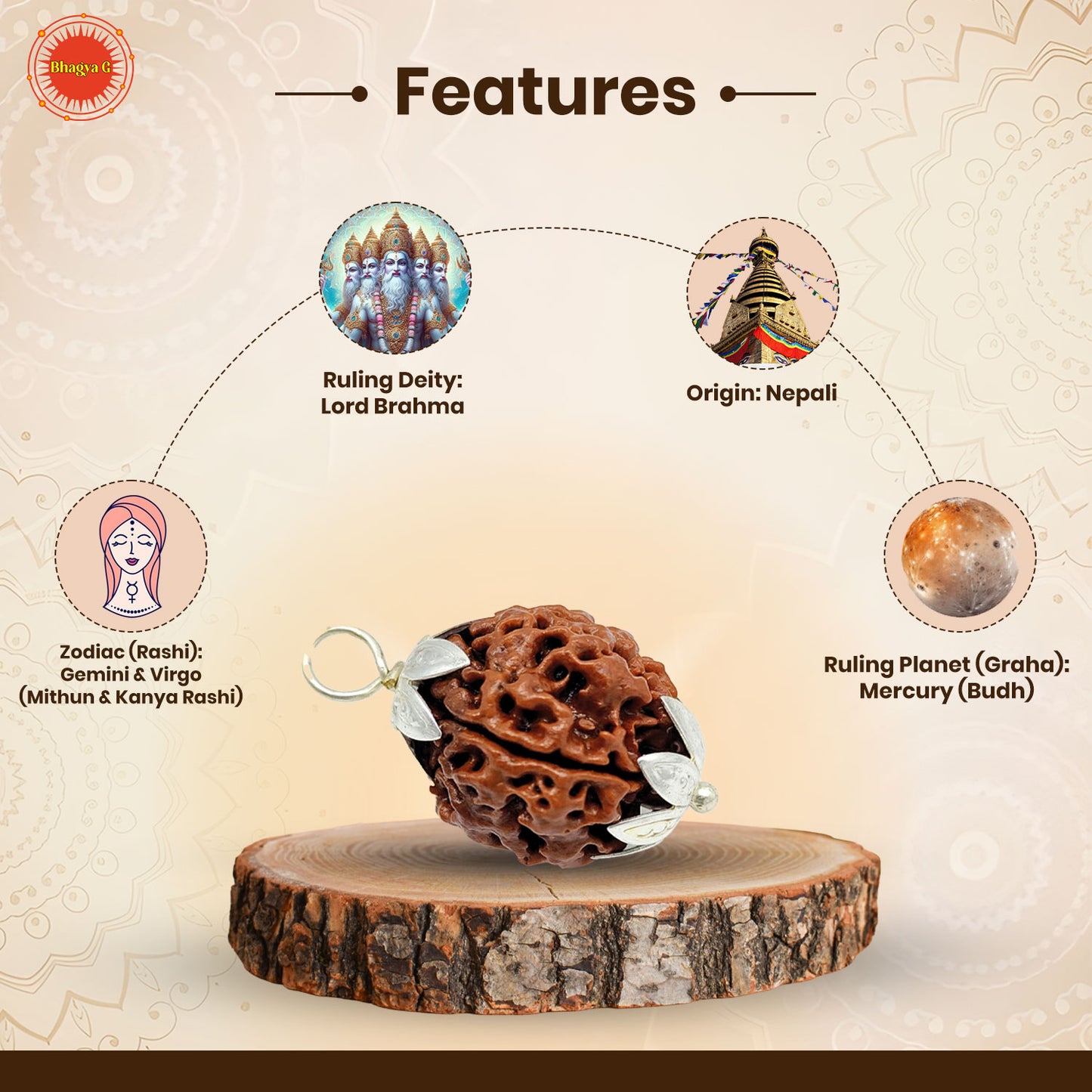 Nepali 4 Mukhi Rudraksha (Lab Certified)