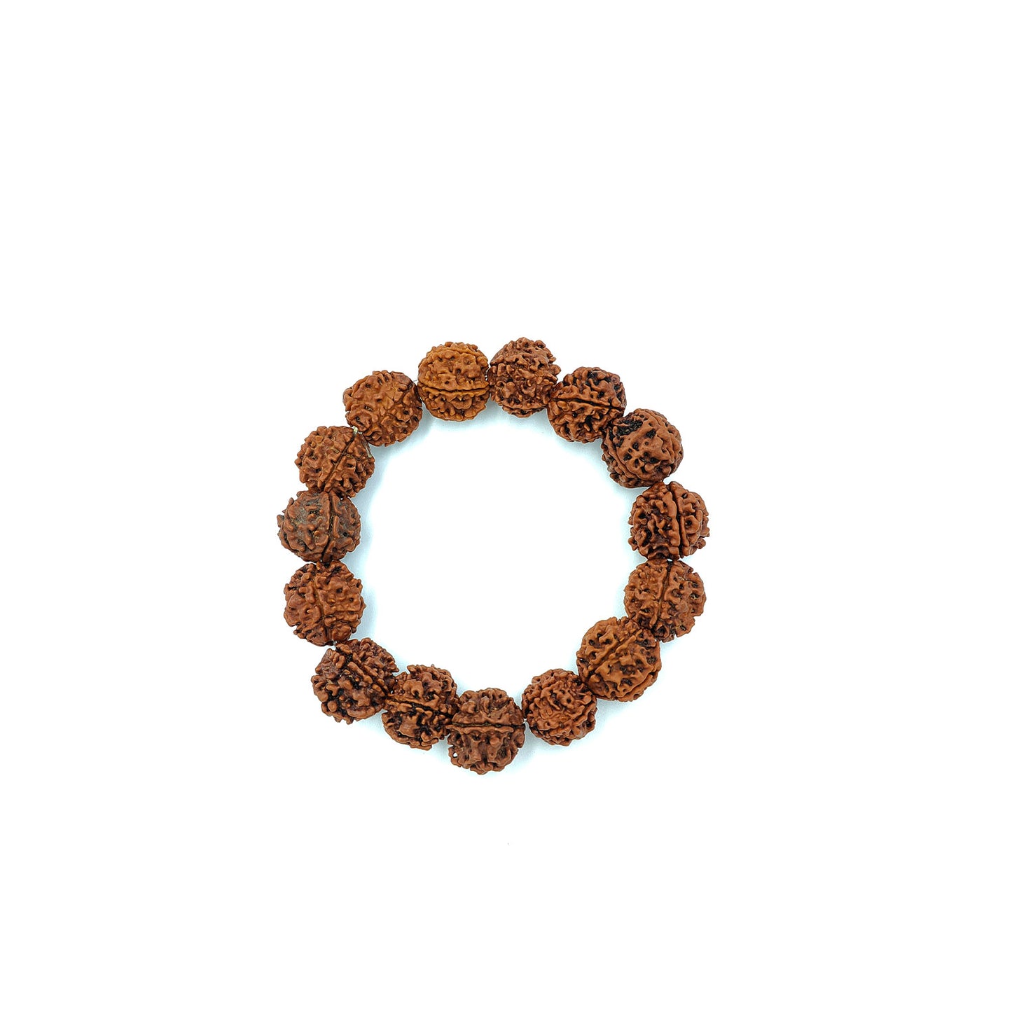 Divine 5 Mukhi Rudraksha Bracelet (Nepali)