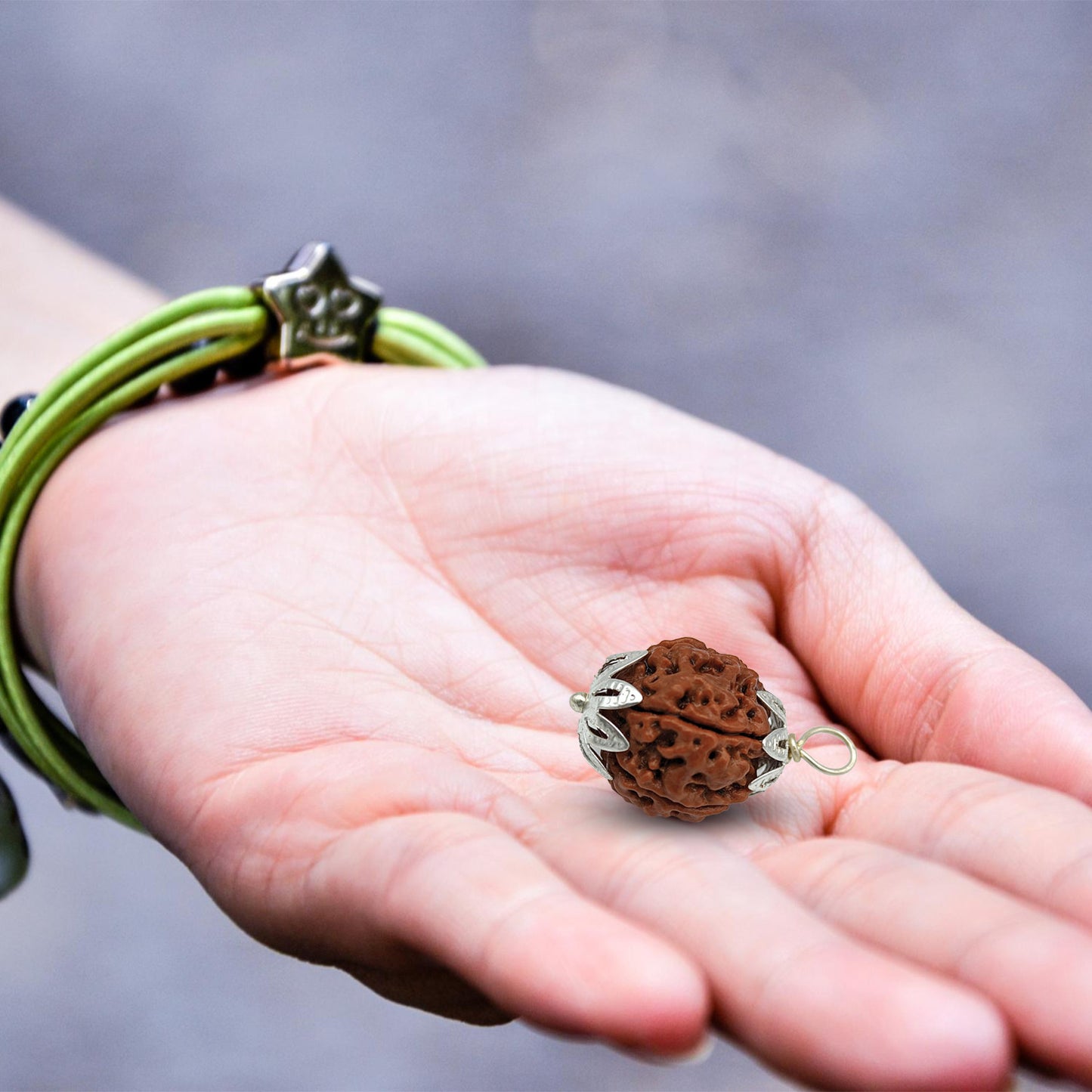 6 Mukhi Rudraksha