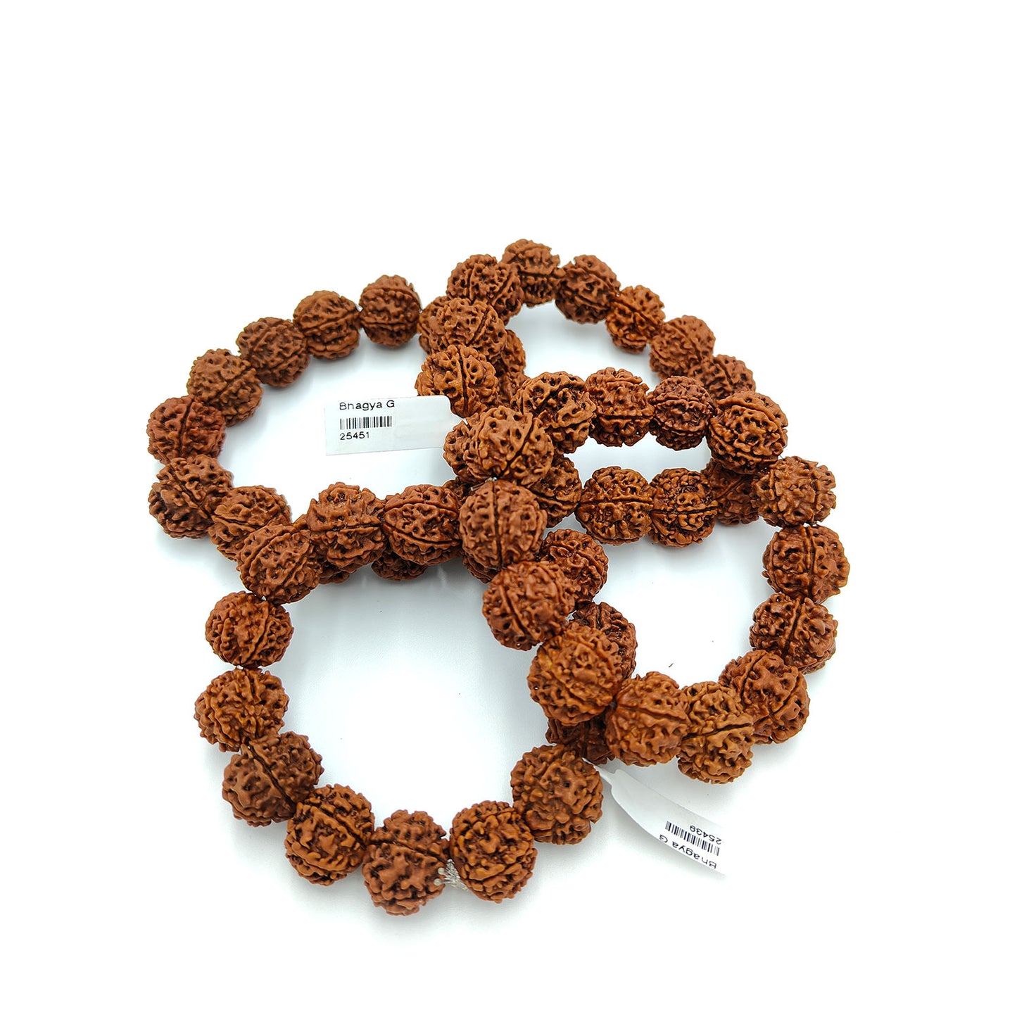 Divine 6 Mukhi Rudraksha Wisdom Bracelet (Nepali)