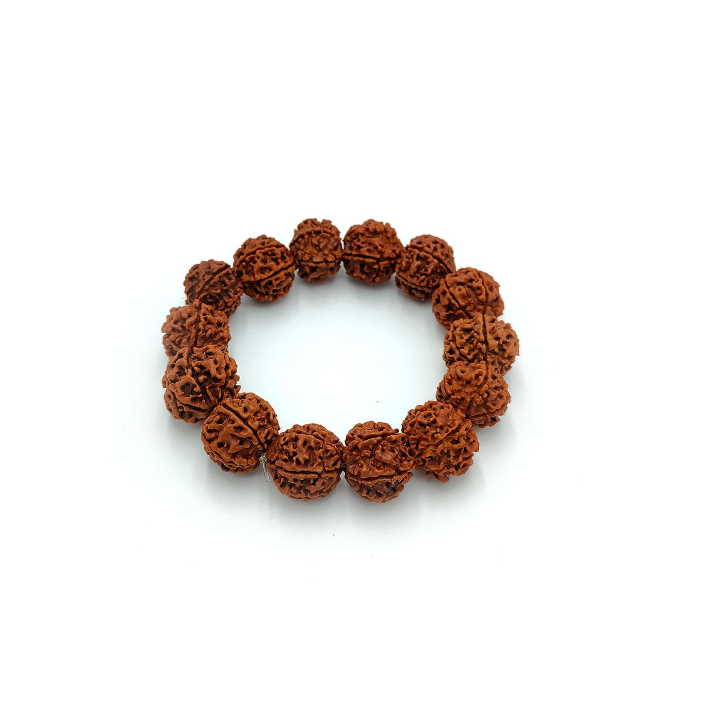 Divine 6 Mukhi Rudraksha Wisdom Bracelet (Nepali)