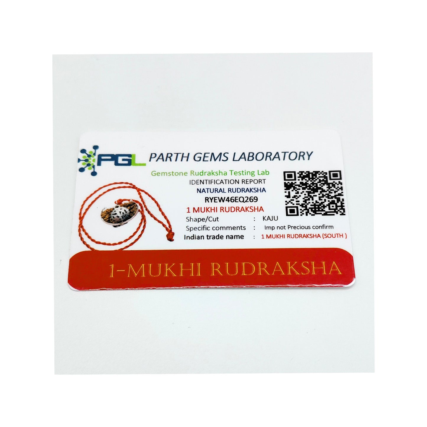 Nepali 1 Mukhi Rudraksha (Lab Certified)