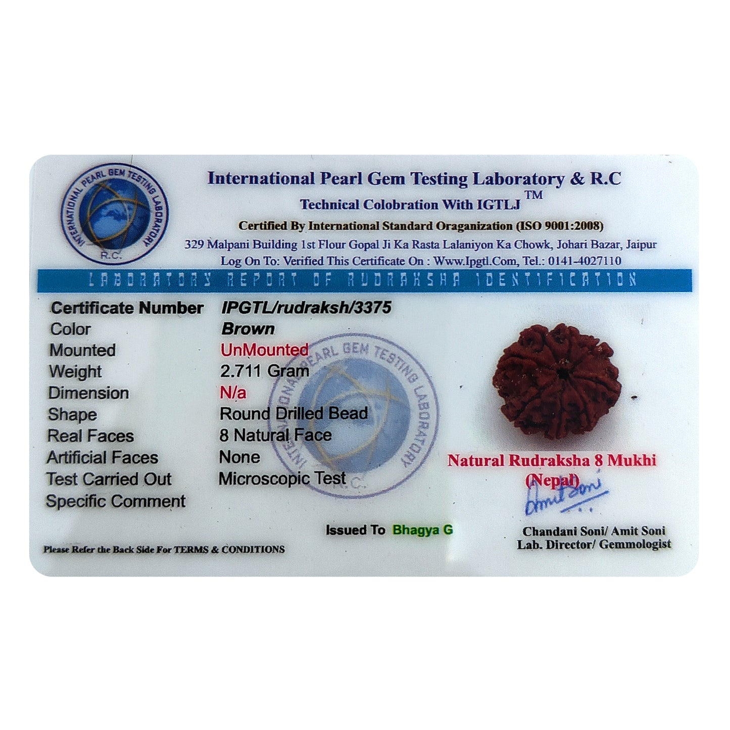 Nepali 8 Mukhi Rudraksha (Lab Certified)