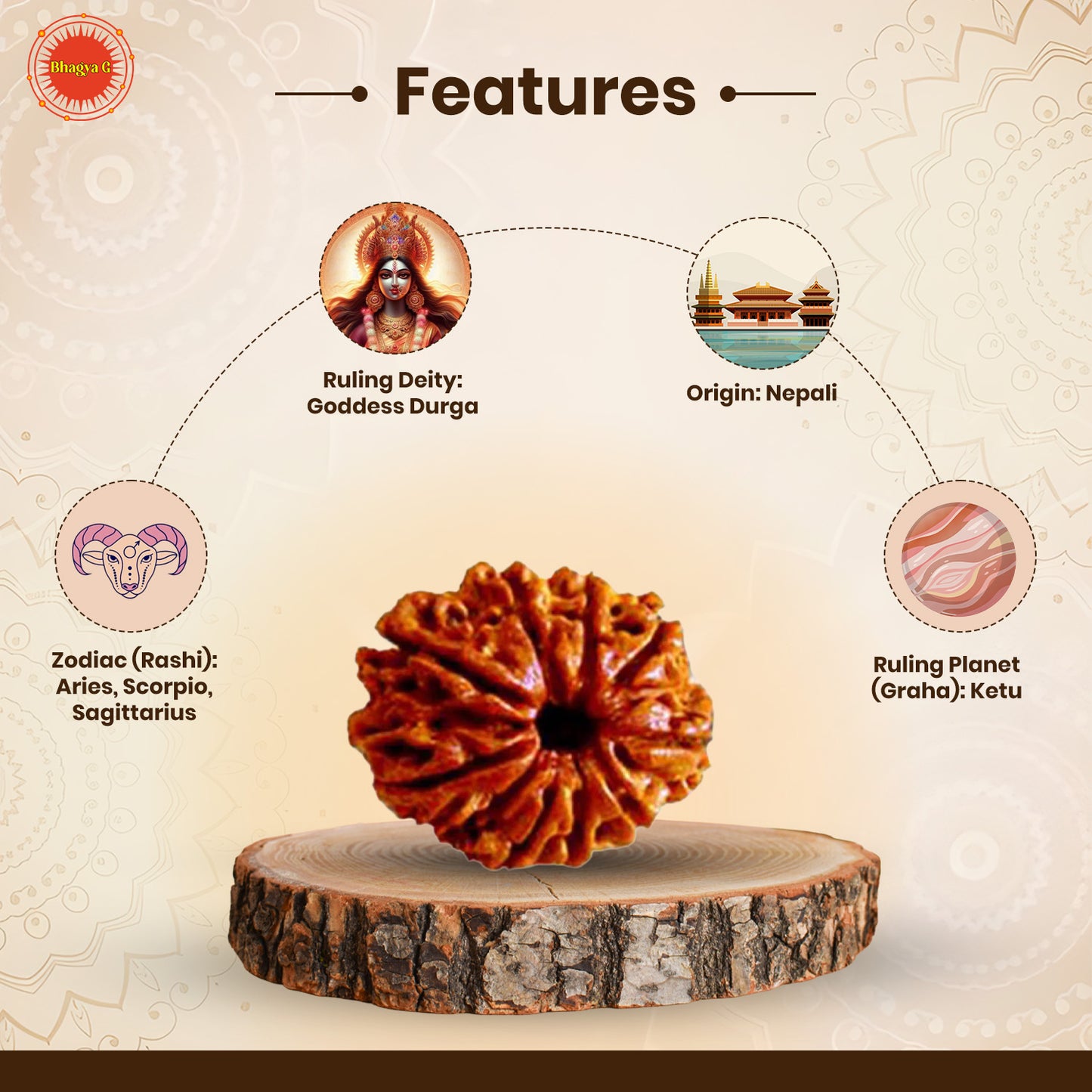 9 Mukhi Rudraksha (Nepali)