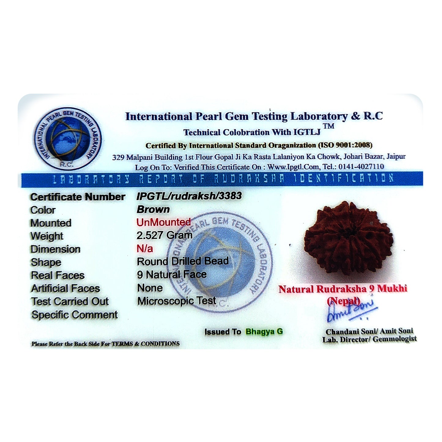 Nepali 9 Mukhi Rudraksha (Lab Certified)