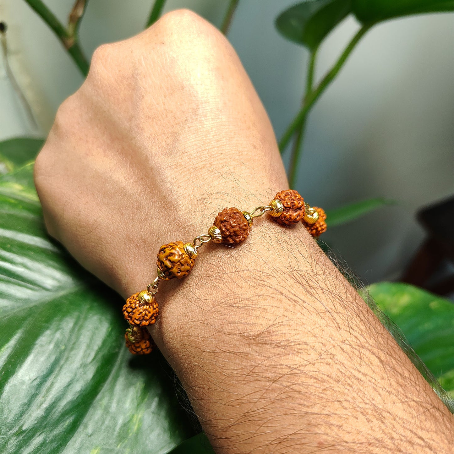 Divine 5 Mukhi Rudraksha Bracelet