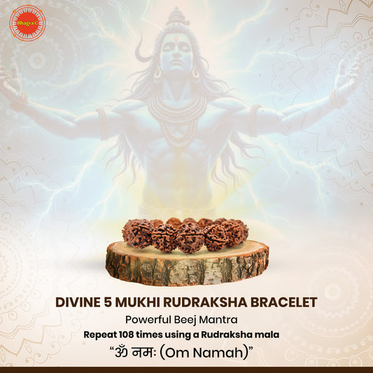 Divine 5 Mukhi Rudraksha Bracelet (Nepali)