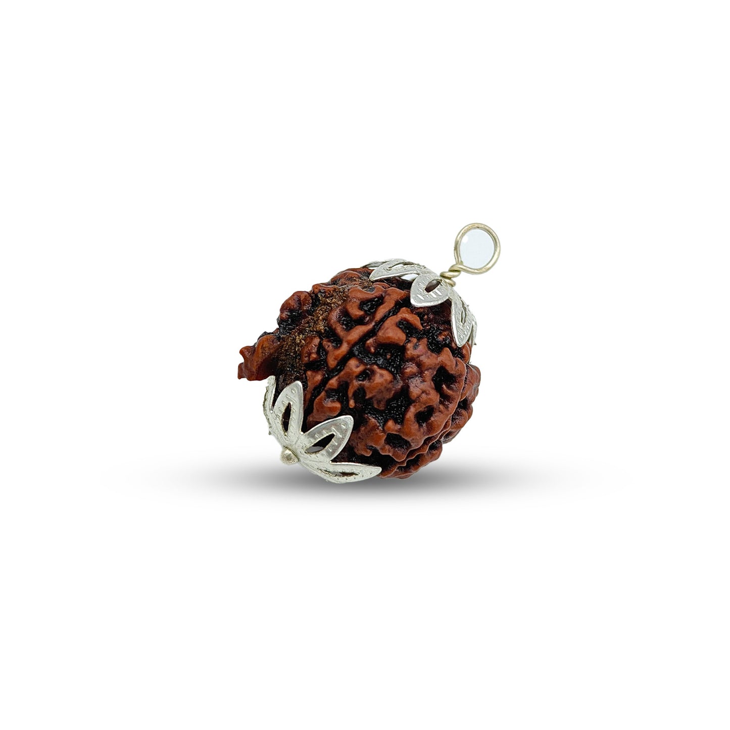 Ganesh Rudraksha