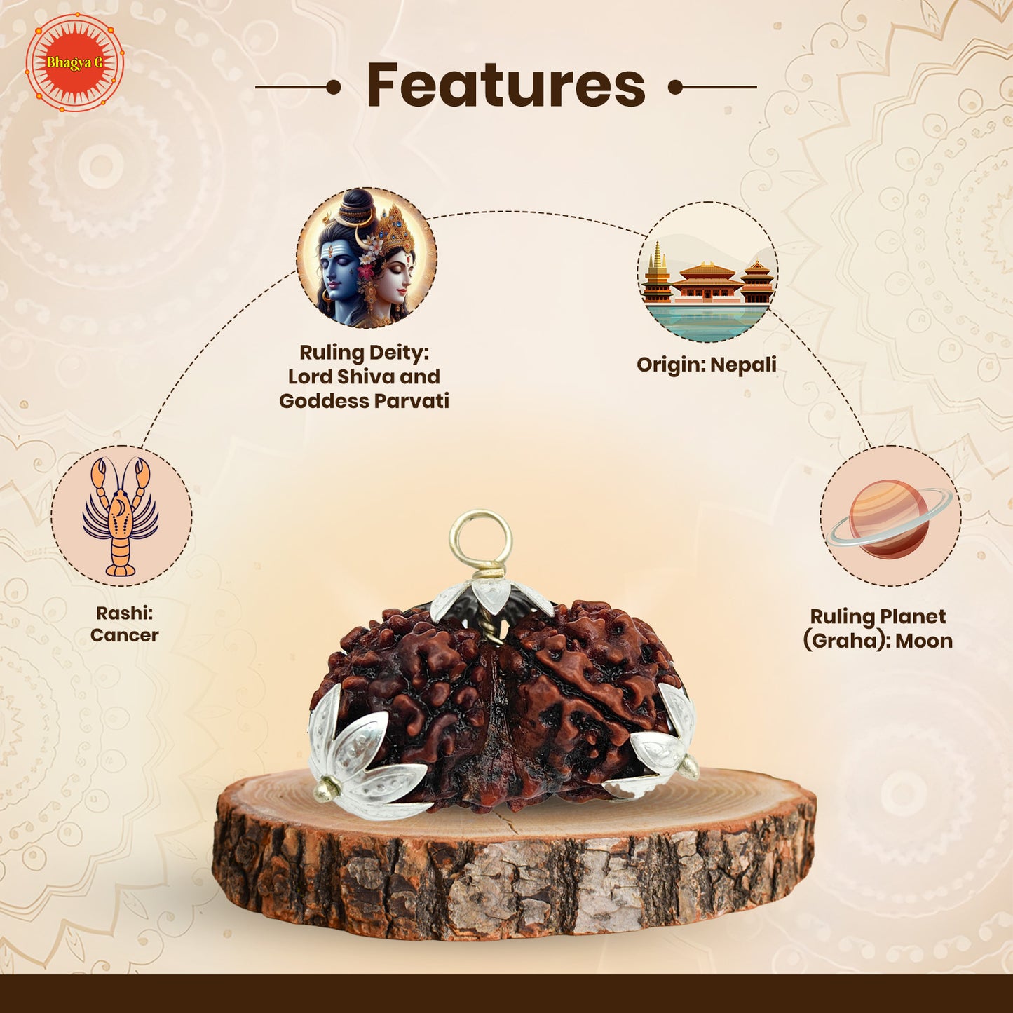 Gauri Shanker Rudraksha (Nepali)