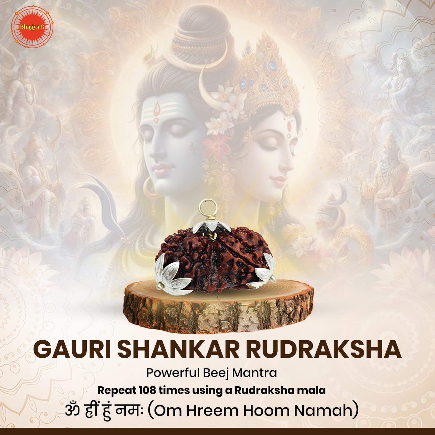 Gauri Shanker Rudraksha (Nepali)