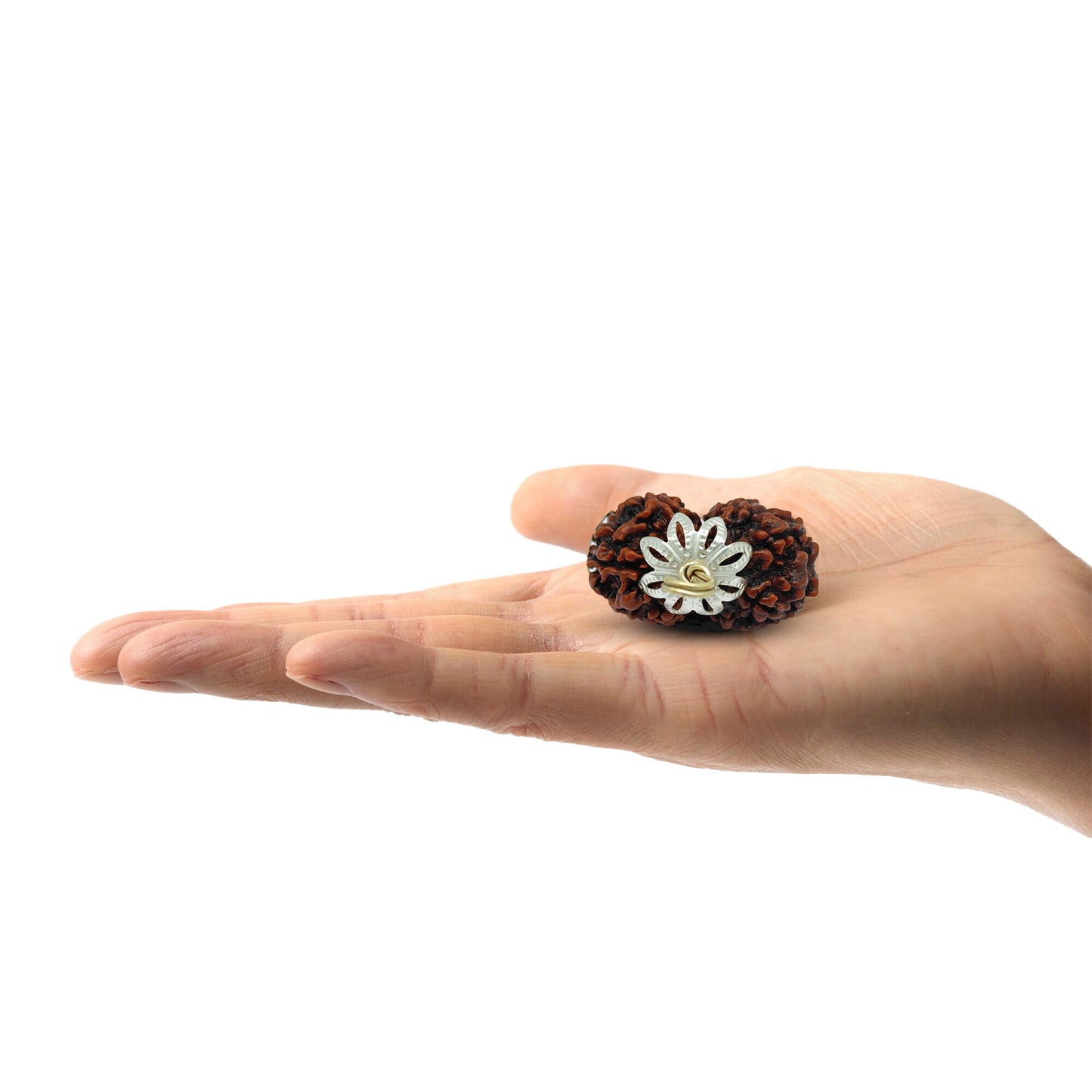 Gauri Shanker Rudraksha