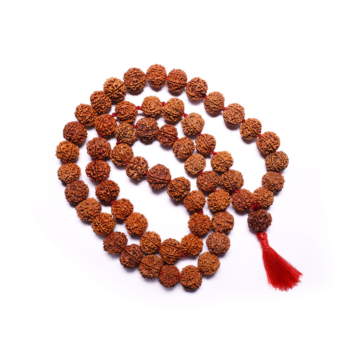 Nepali Rudraksha Mala (54 Beads)