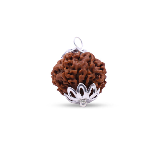 Nepali 10 Mukhi Rudraksha (Lab Certified)