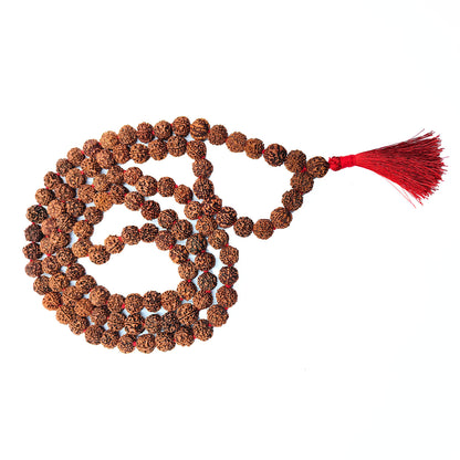 Nepali Rudraksha Mala (108 Beads)