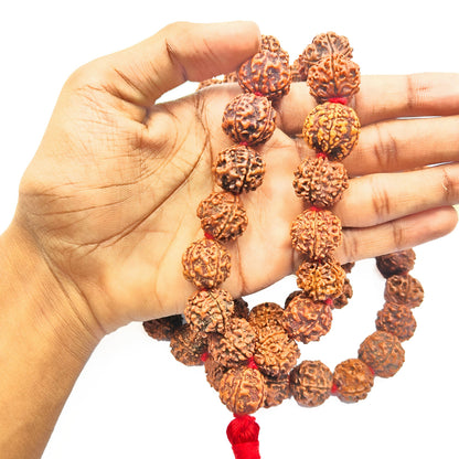 Nepali Rudraksha Mala (108 Beads)