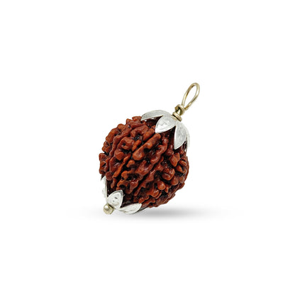 11 MUKHI RUDRAKSHA