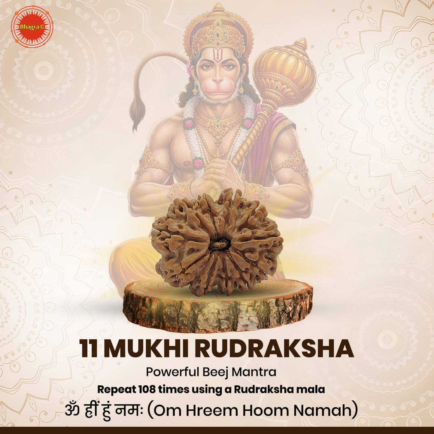 Nepali 11 Mukhi Rudraksha (Lab Certified)