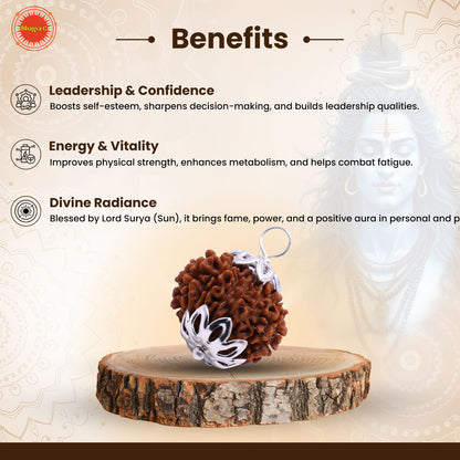 Nepali 12 Mukhi Rudraksha (Lab Certified)