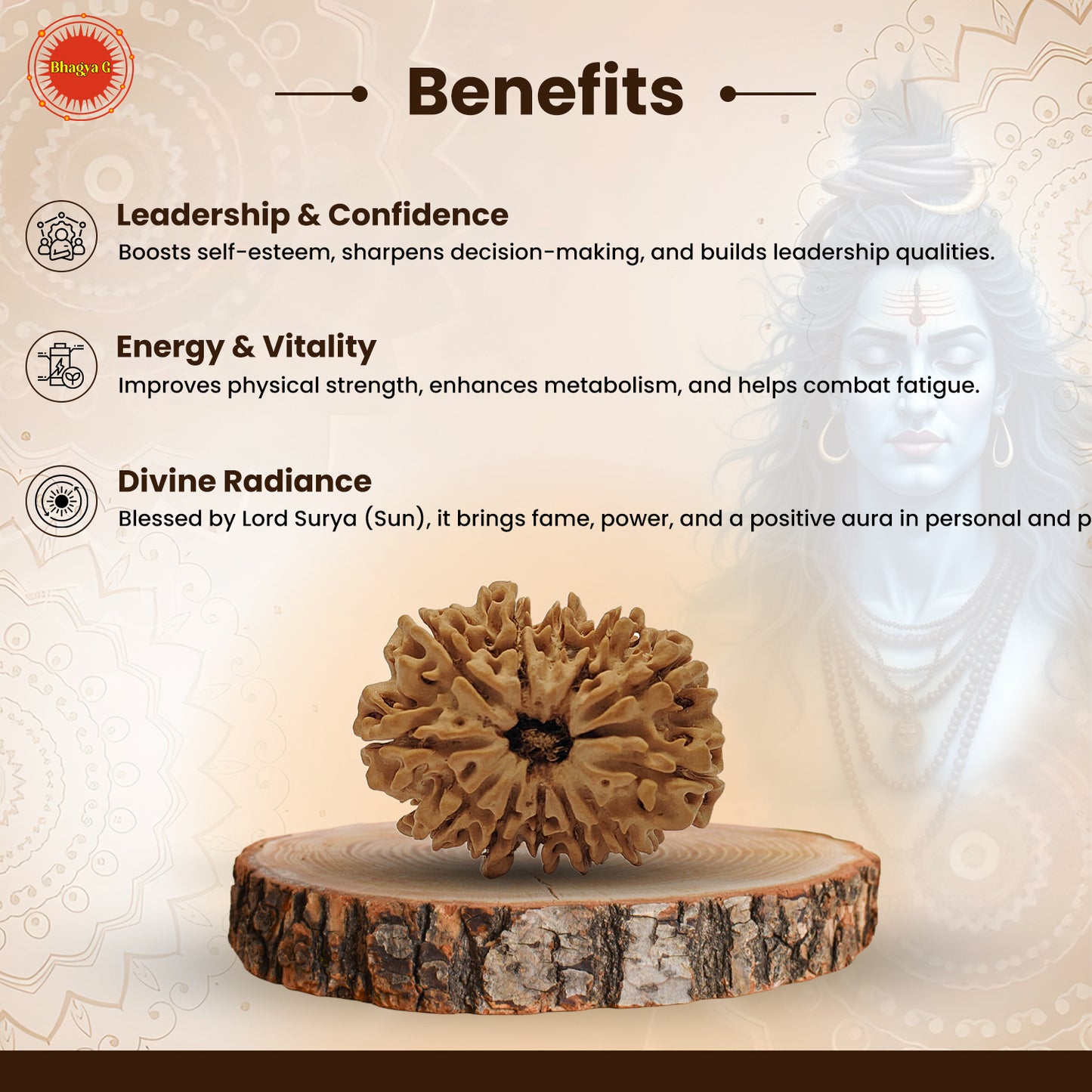 Nepali 12 Mukhi Rudraksha (Lab Certified)