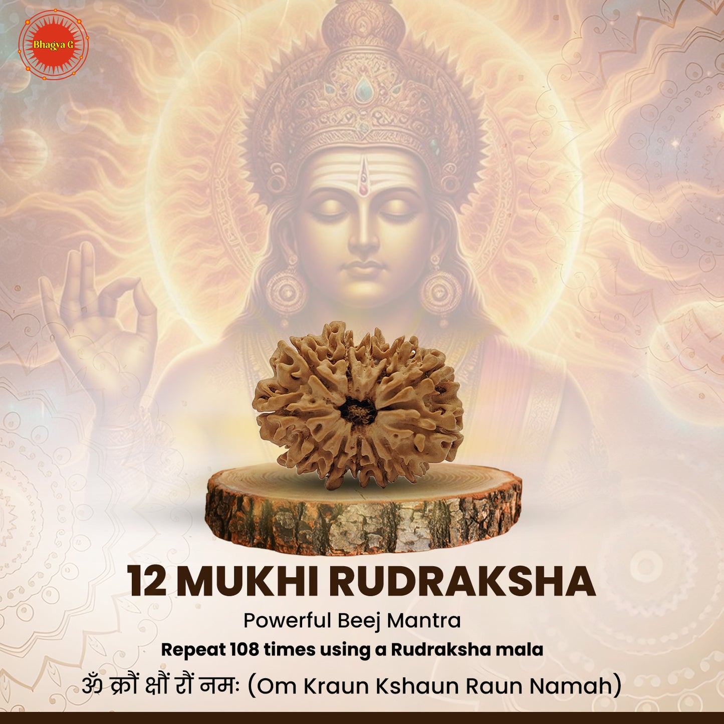 Nepali 12 Mukhi Rudraksha (Lab Certified)