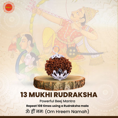 Nepali 13 Mukhi Rudraksha (Lab Certified)