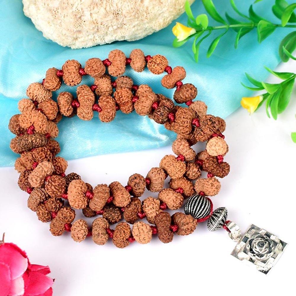 13 Mukhi Rudraksha