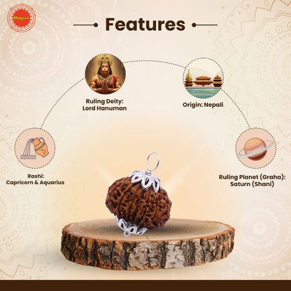 Nepali 14 Mukhi Rudraksha (Lab Certified)